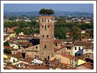 Torre Guinigi Lucca